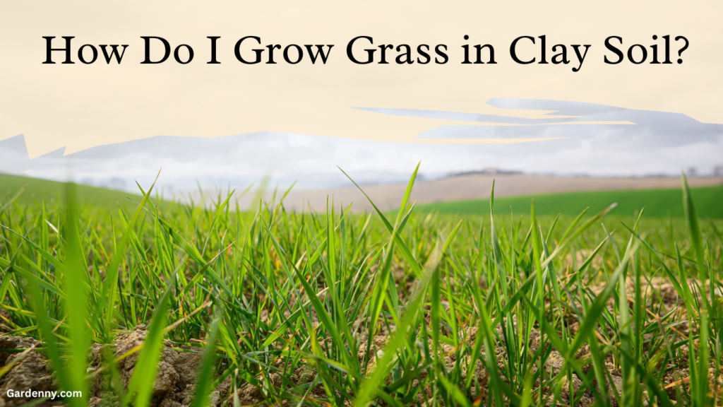 How Do I Grow Grass in Clay Soil