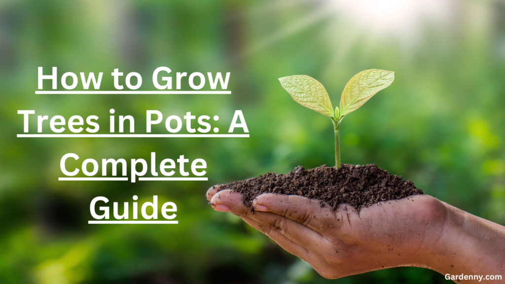 How to Grow Trees in Pots A Complete Guide